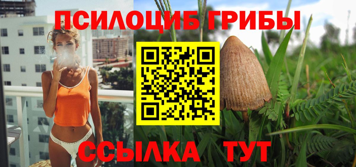 Псилоцибиновые грибы Magic Shrooms  Вход с VPN  магазин    Псилоцибиновые грибы MAGIC MUSHROOMS  Бийск 
